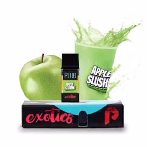 PLUG AND PLAY - APPLE SLUSHIE 1G (HYBRID)